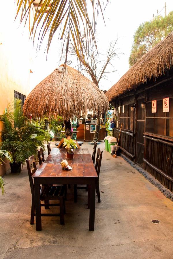 Hostal Cha Cha Cha Tulum Ngoại thất bức ảnh